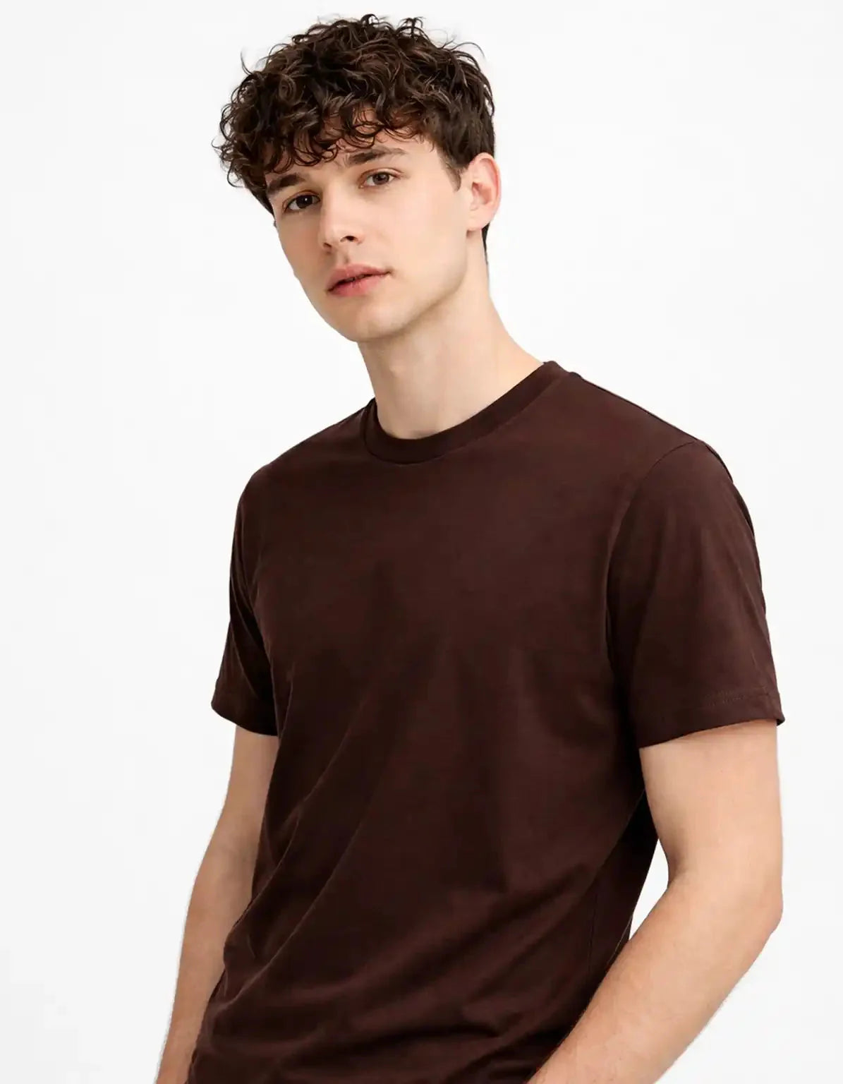 BROWN - REGULAR TSHIRT  TShirts